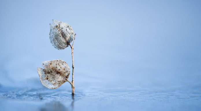 If ice is all you see, ice is all you get.