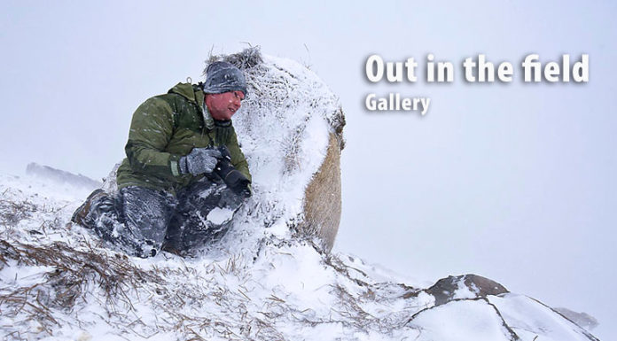 Fun photography action