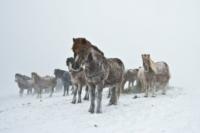 Quality time in a snowstorm