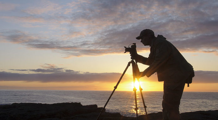 The wonders of the Lee-filter system