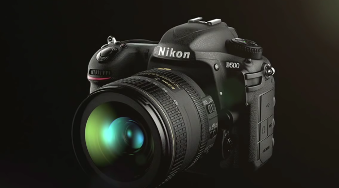 Nikon D500 for bird photography Nikon D500 for bird photography