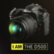 Nikon D500 for bird photography