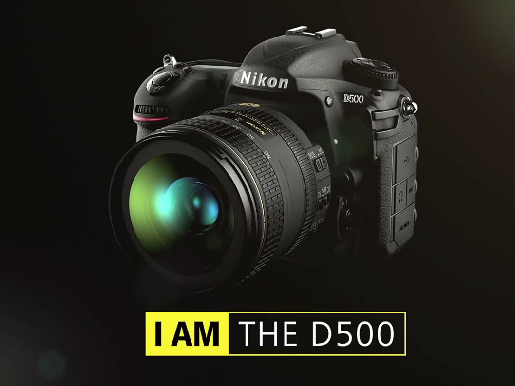 Review of the Nikon D500 for Wildlife and Bird Photography