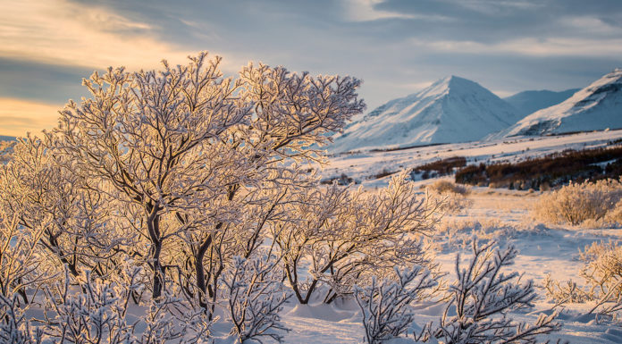 Beautiful day in Akureyri