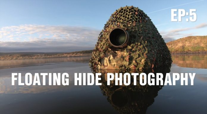 Floating hide bird photography