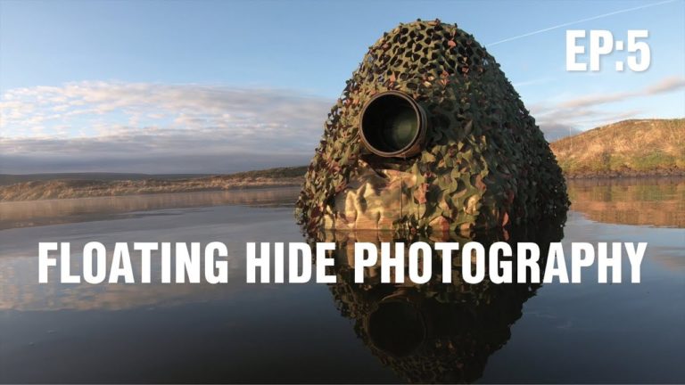 Floating hide bird photography
