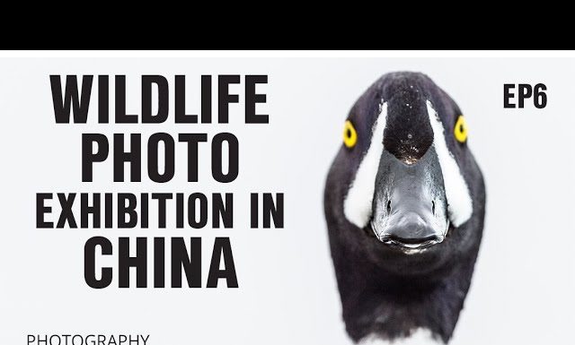 Huge Photo Exhibition in China