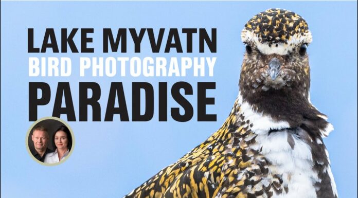 Photo adventure at Lake Mývatn