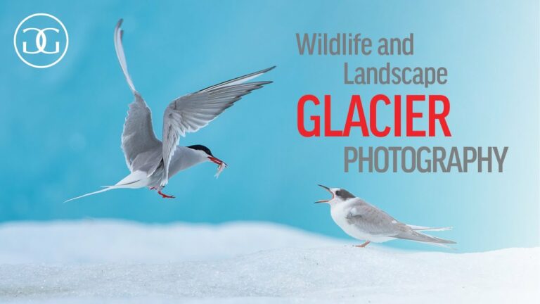 Landscape and wildlife photography at the Glacier Lagoon