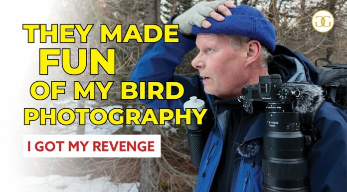 They made fun of my bird photography