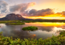 Waiting for color explosions