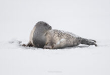 Subtle Factors That Can Ruin Sharpness in Photography