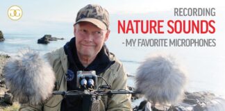 Recording Nature Sounds – My Favorite Microphones