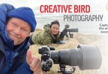 Creative Bird Photography