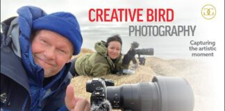Creative Bird Photography