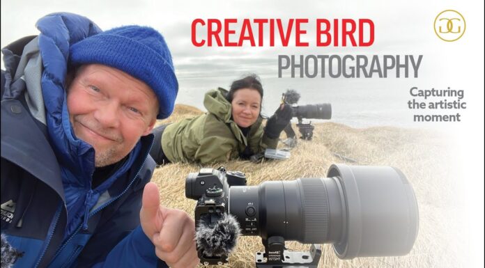 Creative Bird Photography