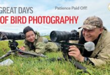 Three Great Days Of Bird Photography