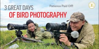 Three Great Days Of Bird Photography