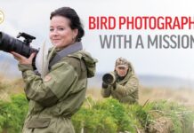 Bird photography with a mission