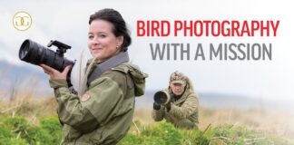 Bird photography with a mission