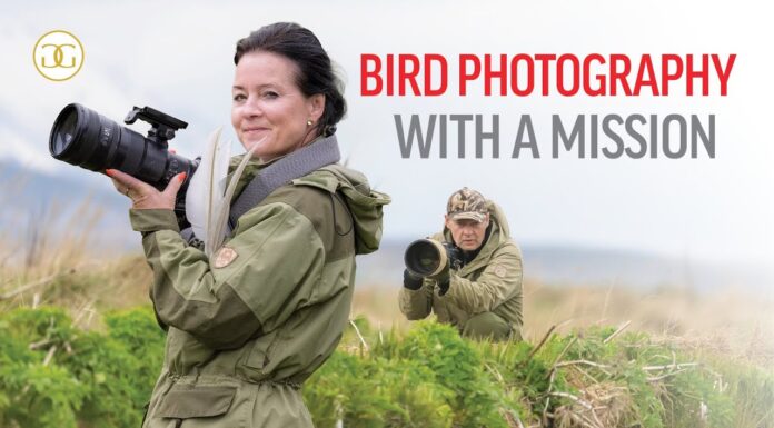 Bird photography with a mission